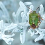 Il “bug del millennio”: la più grande paura informatica di sempre