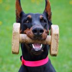 Smart working: i gadget indispensabili per lavorare da casa