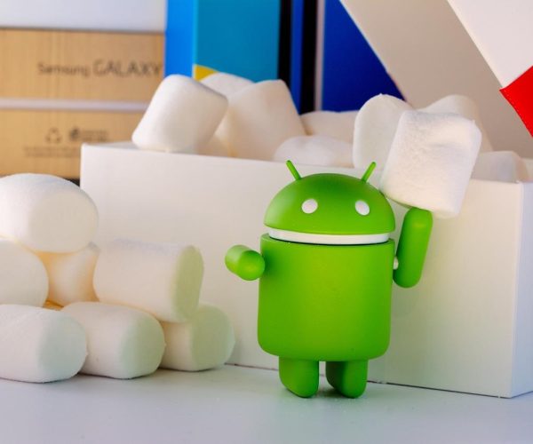 Perché Linux è considerato più sicuro di Windows?