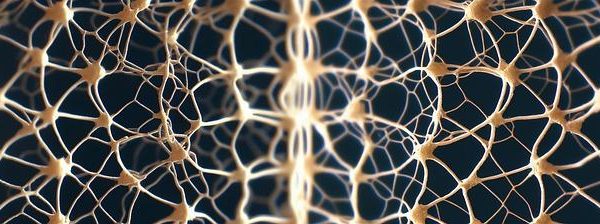 Come funzionano le reti neurali: le basi dell’intelligenza artificiale