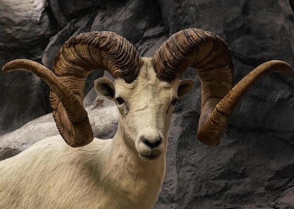 La RAM ECC è davvero utile? Facciamo chiarezza una volta per tutte