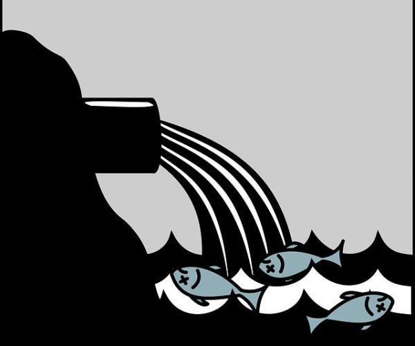 L’impatto ecologico della tecnologia: il problema dei rifiuti elettronici